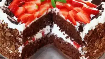 Erdbeerkuchen mit Puddingcreme auf Biskuitboden W2xEX 4x 2n
