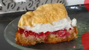 Johannisbeerkuchen in der Low Carb Version W2xEX 4x 2n