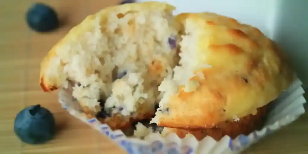 Kalorienarme Blueberry Cheesecake Muffins