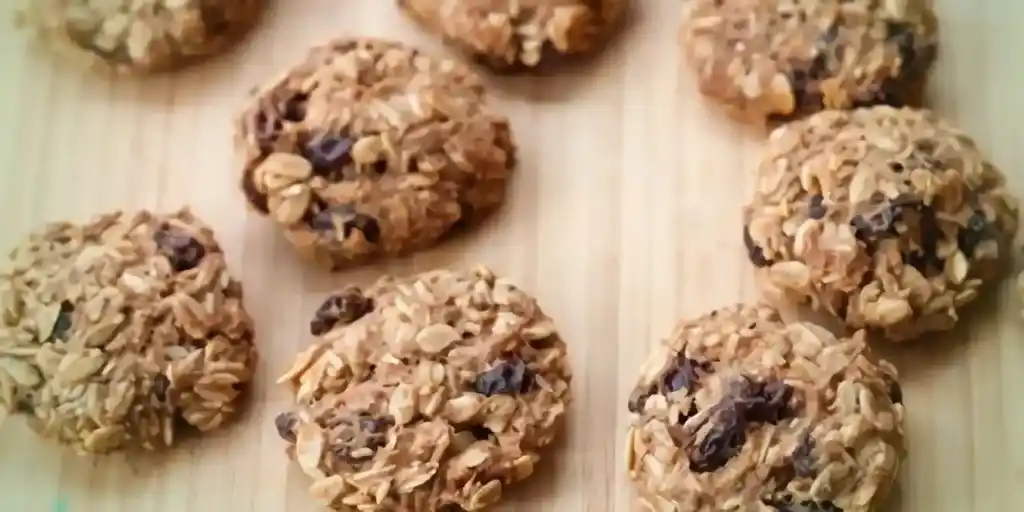 Kalorienarme Chia Cranberry Protein-Cookies