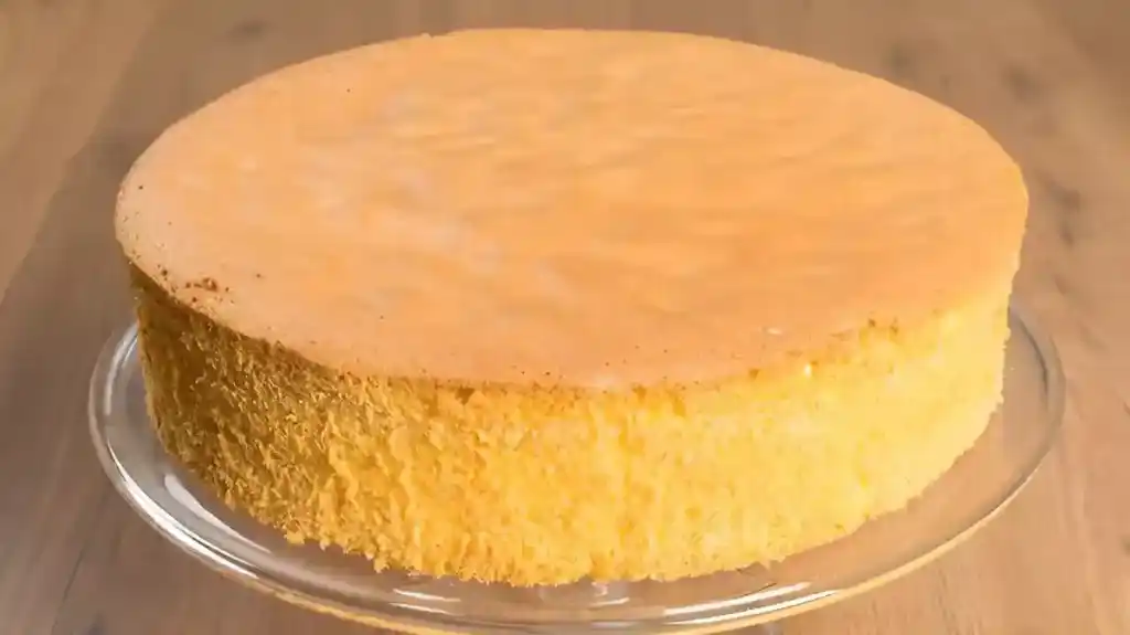 Lecker Bäckermeister Biskuitboden
