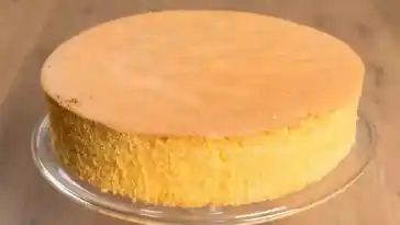 Lecker Bäckermeister Biskuitboden
