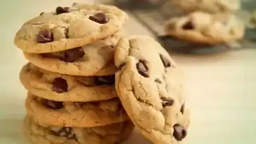 Low Carb Chocolate Cookies W2xEX 4x 2n