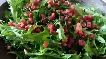Omas Endiviensalat 4x