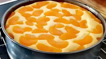 QUARKKUCHEN OHNE BODEN NUR 3 MINUTEN 4x