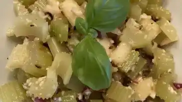 Staudensellerie Salat 4x