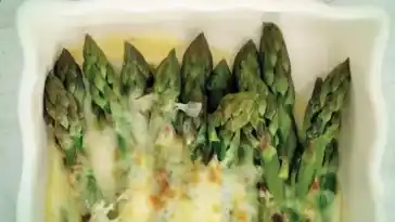 gruner Spargel mit Parmesancreme W2xEX 4x 2n