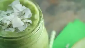 kokos spinat smoothie low carb W2xEX 4x 2n