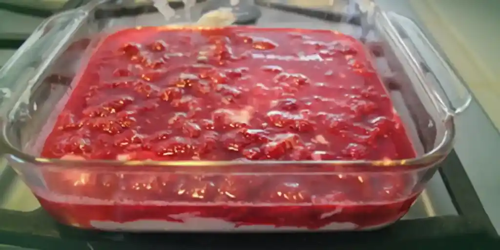 Chia-Beeren-Pudding
