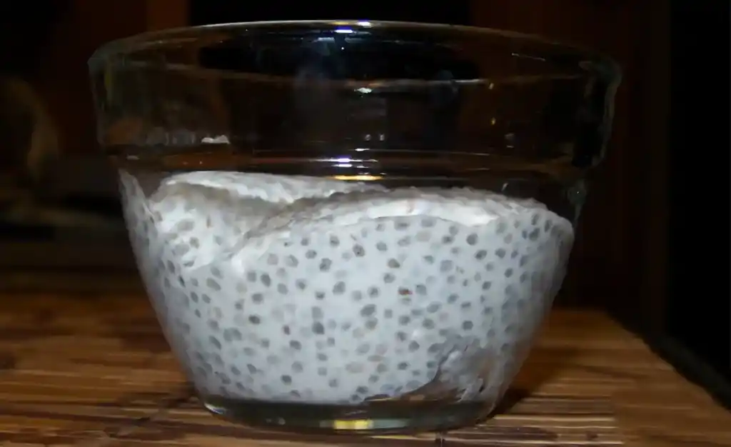 Chia-Kokos-Creme Low Carb