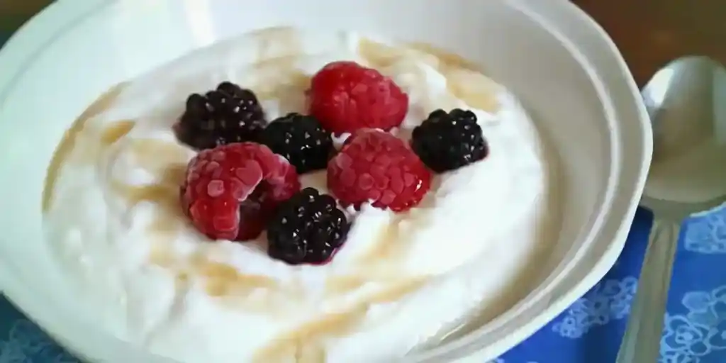 Eiweiß und Low Carb: Gesunder Genuss mit griechischem Joghurt