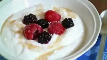 Eiweiß und Low Carb: Gesunder Genuss mit griechischem Joghurt