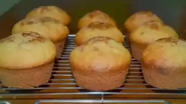 Low Carb Bananen-Zimt Muffins mit Proteinpulver ideal für Sportler