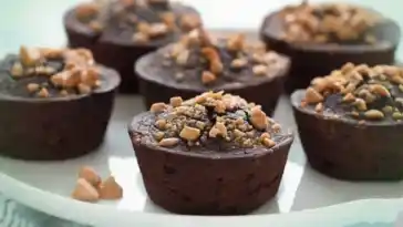 Low Carb Schokomuffin