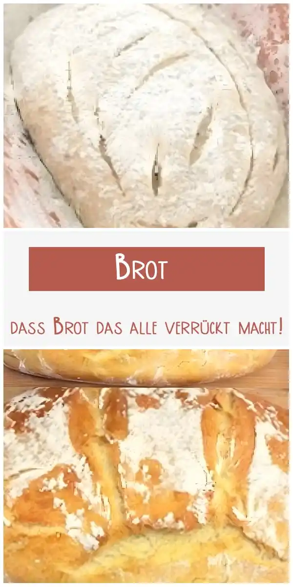 In nur 5 Minuten fertig, dass Brot das alle verrückt macht! 1 In nur 5 Minuten fertig, dass Brot das alle verrückt macht!