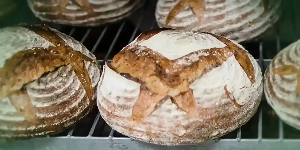 Lecker Walnussbrötchen