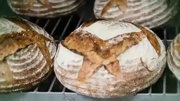 Lecker Walnussbrötchen