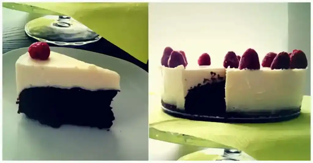Low carb Schoko-Panna-Cotta-Torte