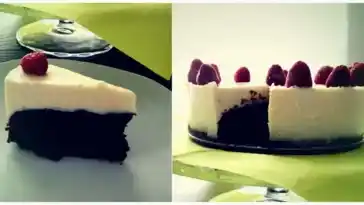 Low carb Schoko-Panna-Cotta-Torte