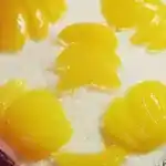 Aprikosenkuchen mit Quark – Sahne – Creme und Kokosflocken