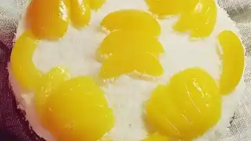 Aprikosenkuchen mit Quark – Sahne – Creme und Kokosflocken