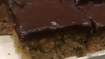 Schneller Nuss Apfelkuchen mit Schokoglasur 4x