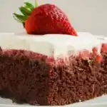 Schoko Erdbeer Kuchen