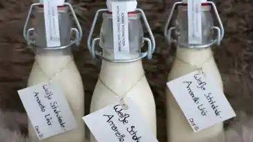 Amaretto Likör mit weißer Schokolade