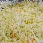 Amerikanischer Krautsalat