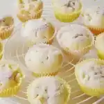 Apfelbäumchen
