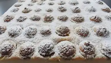 BISKUIT – SCHNITTEN