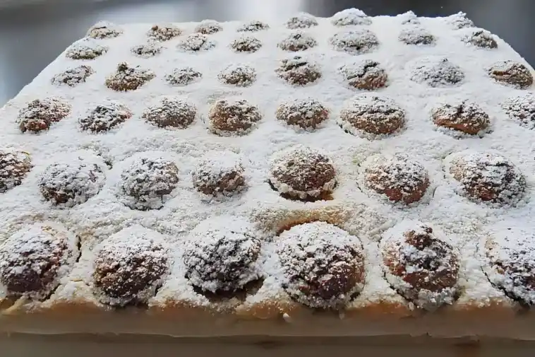 BISKUIT – SCHNITTEN
