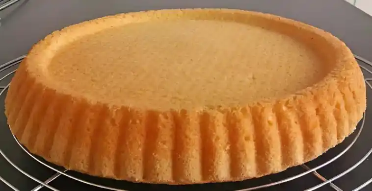 Biskuitboden für Torten und Kuchen
