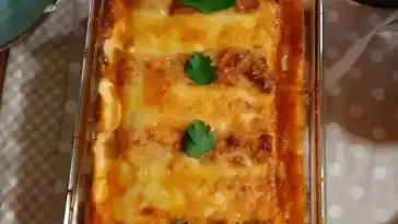 Cannelloni gefüllt mit Hackfleisch und mit Bechamelsauce überbacken