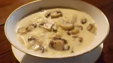 Champignon – Sahne – Sauce