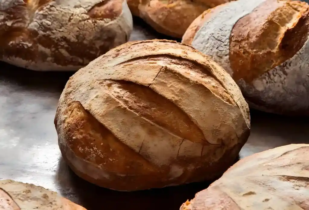 Friss dich dumm brot