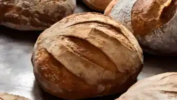 Friss dich dumm brot