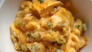 Hühnermakkaroni und Cookeo-Senfsauce