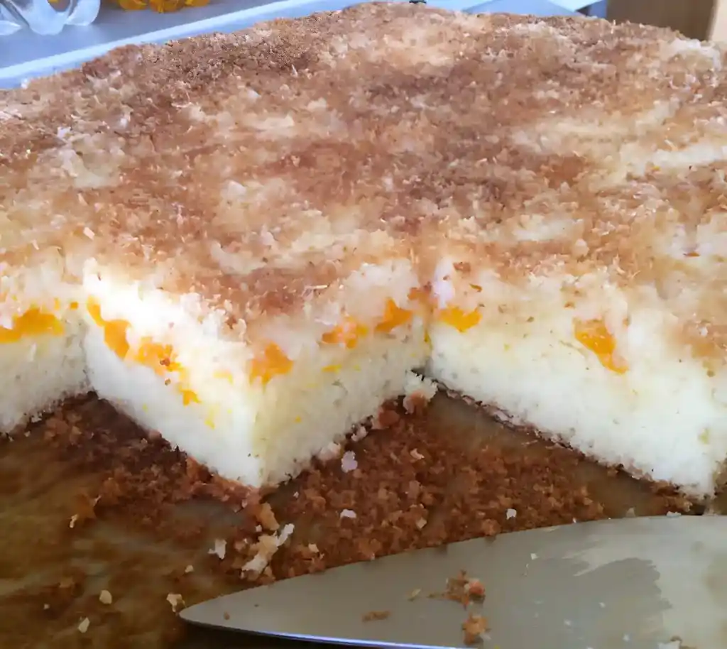 Kokos-Mandarinen-Kuchen