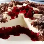 Kirsch Maulwurfkuchen
