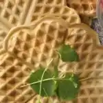 Low-Carb-Waffeln