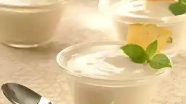 Ananasmousse mit Thermomix