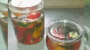 Antipasti, gefüllte Mini Paprika mit einer Feta_Frischkäse creme