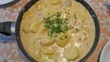 Bechamel Kartoffeln