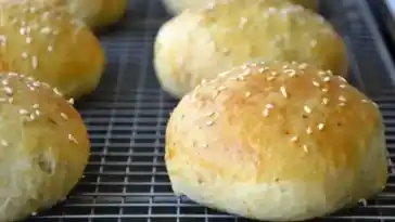 Burger Buns - passend zu den Tofufrikadellen