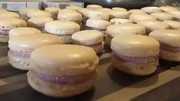 MACARONS