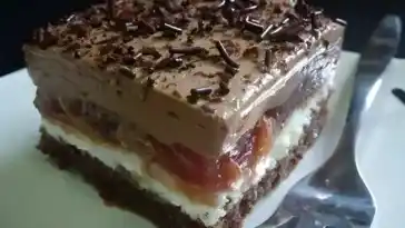 Sauerkirsch Quark Schokoschnitten