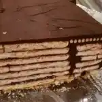 Seit Ewigkeiten mal wieder gemacht..kalte Hundeschnauze