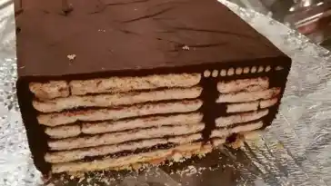 Seit Ewigkeiten mal wieder gemacht..kalte Hundeschnauze