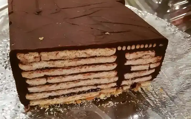 Kalte Hundeschnauze